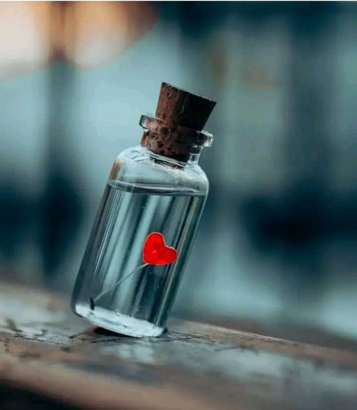 🎁 KAMI & SOUL™ BLESSING BOX (Japan Edition)